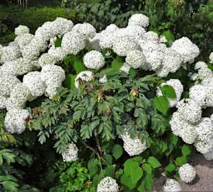 Eindrücke vom Rundgang durch den Park der Gärten