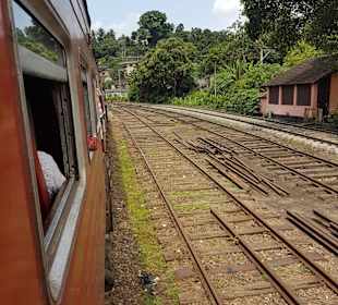 Sri Lanka Harry Tours 