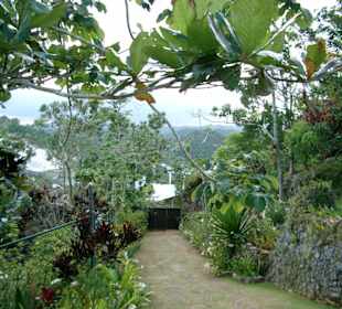 Bob Marleys Gedenkstätte