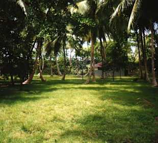 Ausflug-Cayo-Leventado