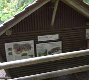 Altwege Rundwanderung Bebenhausen