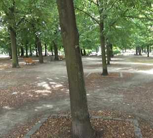 Bassinplatz