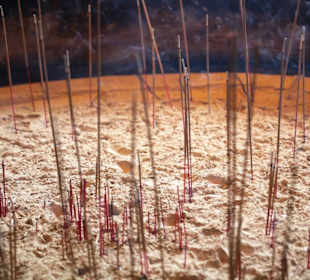 Buddha Zahn Relikt Tempel