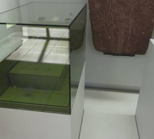 Rheinisches Landesmuseum