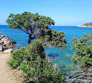 Strandpromenade Baja Sardinia
