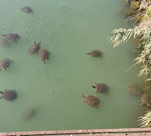 Strandpromenade Evrenseki