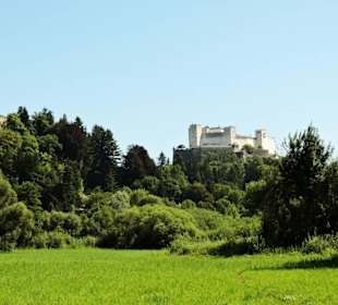 Blick auf Festung u. Festungsberg