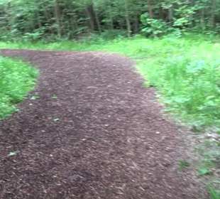 Hochseilgarten Hallwangen