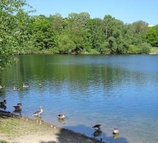 Am Ufer des Heidbergsees