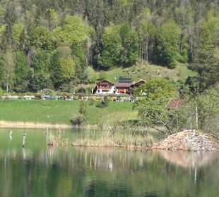 Thumsee 