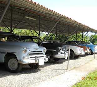 Wind und Wetter ausgesetzt