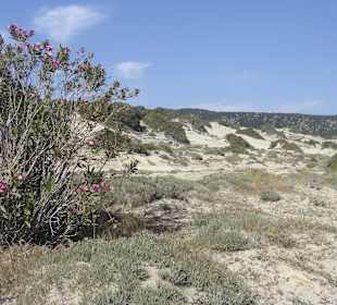 Halbinsel Karpaz