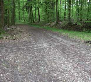 Wandertour Feuchtgebiet Schönbuch
