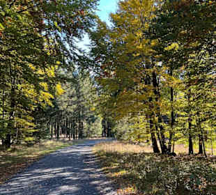 Wandern in Willingen 