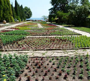 Botanischer Garten