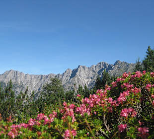 Wandern Taghaube