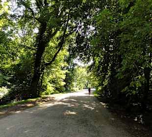 Impressionen aus dem Bürgerpark