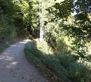 Natur-Hochseilgarten Triberg