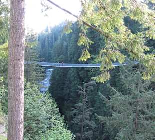 Capilano Suspension Bridge and Park