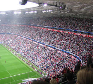 Allianz Arena Bundesliga 2007/08