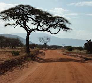Traumhafte Landschaft