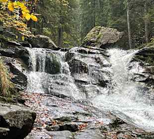 Wandern Warzenried
