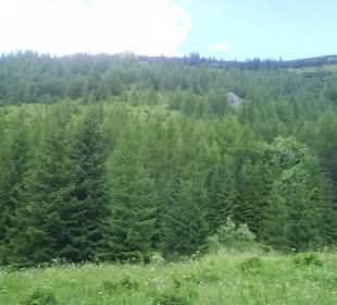 Tatrzański Park Narodowy