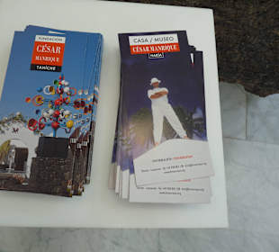 Fundacion Cesar Manrique