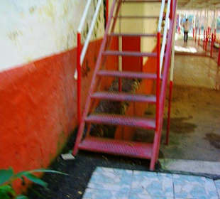 Restaurant Dimcay An/Abfahrt