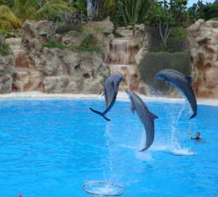 Shows und Unterhaltung