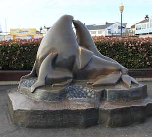 Seelöwenskulptur Fishermans Wharf