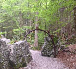 Bergwaldpfad