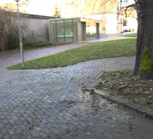 Dekanatsgarten