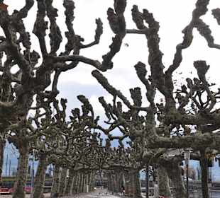 Виды города