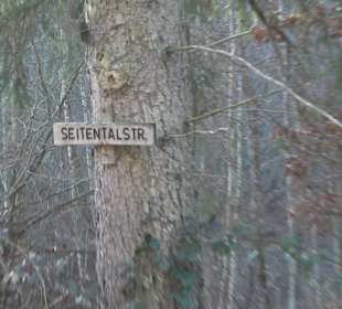 Wanderung rund um den Ochsenweiher