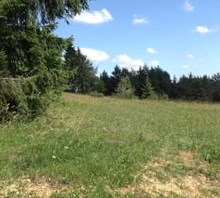 Naturerlebnispfad Sternberg