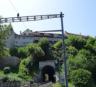 Am Rheinfall