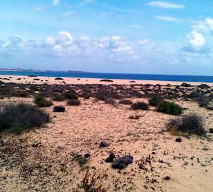 Parque Natural de las Dunas de Corralejo