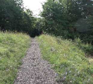 Naturschutzgebiet Zollerhalde Zimmern