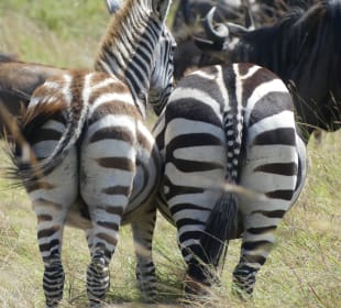 Wir zeigen nur das Beste von uns...