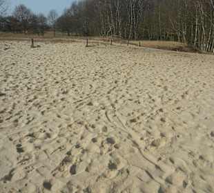 Wunderschöne Boberger Niederung