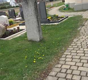 Friedhof Kleinerdlingen