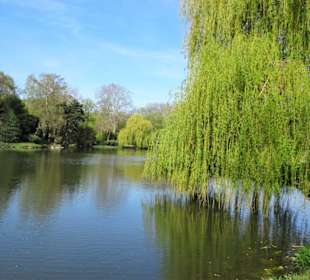 Eindrücke aus dem Maschpark