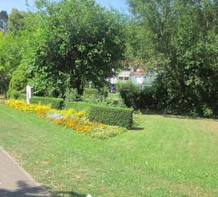Kurpark Bad Bergzabern
