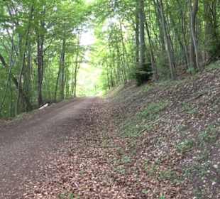 Premiumwanderweg "hochgelegen"