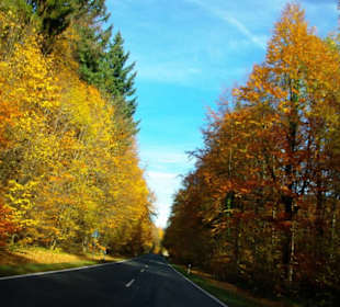 Farbenzauber im Herbst