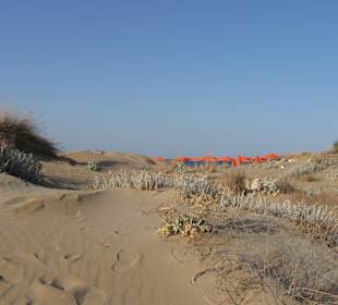 Strand von weit weg!