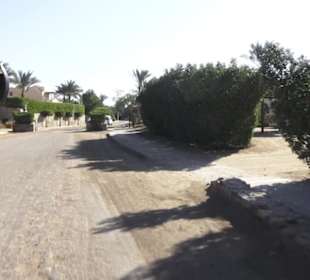 Stadtbesichtigung El Gouna