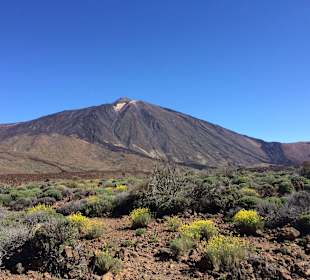 Pico del Teide