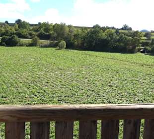 Schaukelweg an der Donau